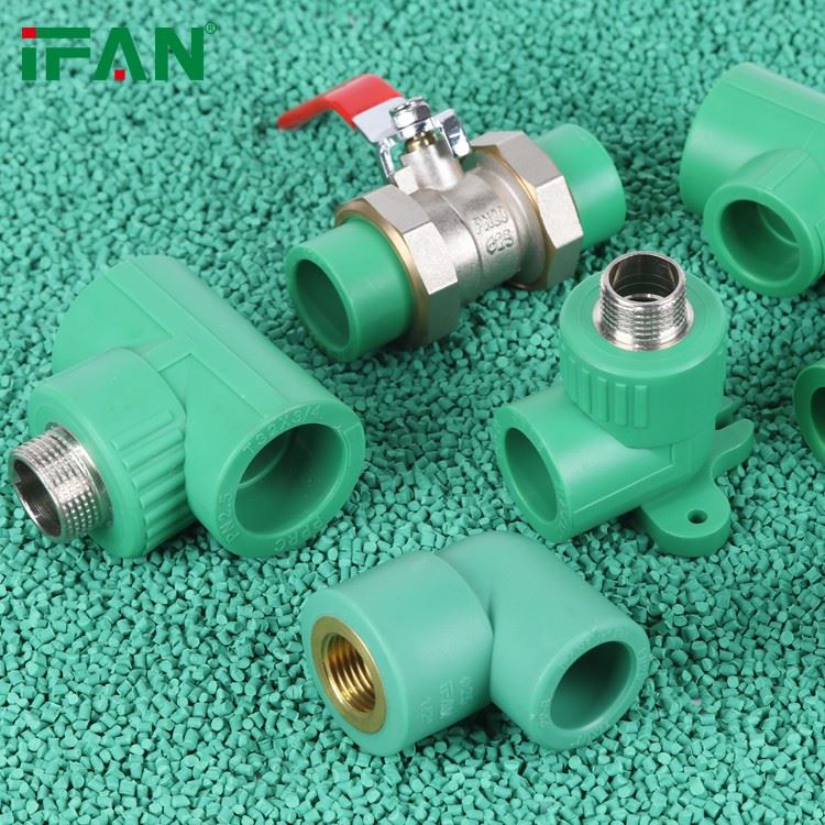 IFAN SS Insert PPR Fittings (4)