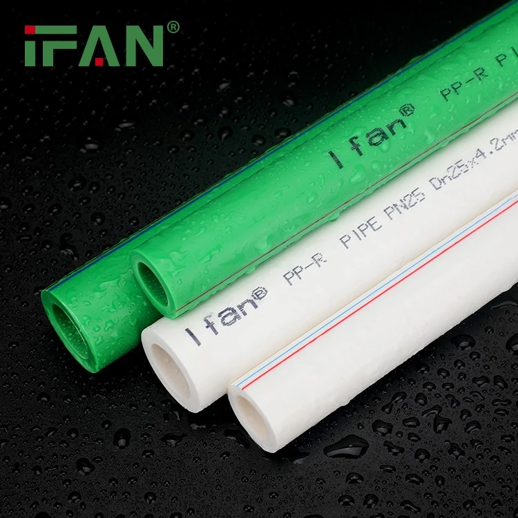 IFAN-PPR--3